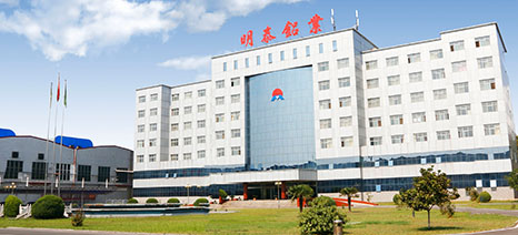 大菠萝欢迎你铝业公司介绍